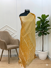 Banarasi Tissue Silk Saree With Nita Ambani Inspire