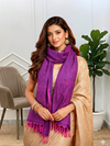 Banarasi Soft Silk Stotel For Daily Wear