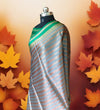 Banarasi Tanchhui Stripe Design Silk Saree