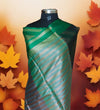 Banarasi Tanchhui Stripe Design Silk Saree