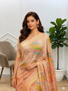 Banarasi Chikankari Silk Saree With Multi Color